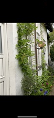 Photo 1. Apartment, Høbjergkrogen, Birkerød 