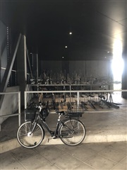 Photo 23. Room, Rugårdsvej, Odense C 