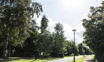 Billede 11. Hus/villa, Bygården, Brønshøj 
