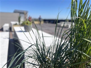 Photo 15. Apartment, Tingvej, Viborg 