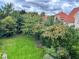 Photo 1. Room, Duevej, Frederiksberg C 