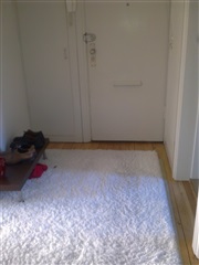 Photo 4. Shared accommodation, Tuborgvej, København NV 