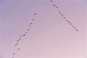 Photo 1. House, , Ålsgårde 