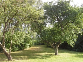 Photo 15. Apartment, Broksøvej, Herlufmagle 