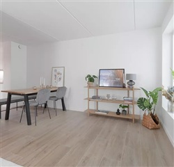 Photo 1. House, Dådyrbakken, Middelfart 