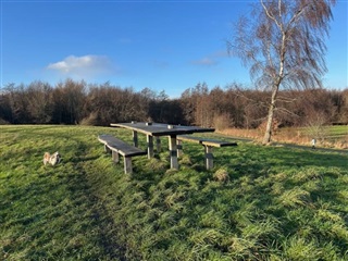 Photo 12. Room, Skejbygårdsvej, Risskov 