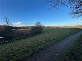 Photo 11. Room, Skejbygårdsvej, Risskov 