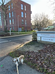 Photo 14. Room, Skejbygårdsvej, Risskov 