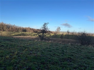 Photo 13. Room, Skejbygårdsvej, Risskov 