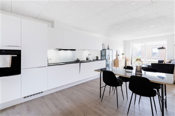 Photo 5. House, Birksvej, Silkeborg 