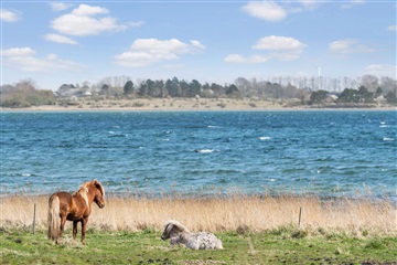 Photo 5. Apartment, Annebergparken, Nykøbing Sj 