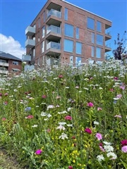 Photo 1. Room, Parkvej, Vejle 