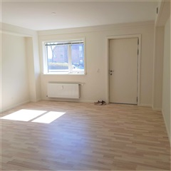Photo 1. Apartment, Skottenborg, Viborg 