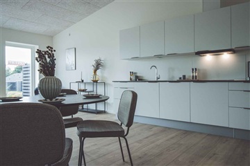 Billede 27. Hus/villa, Mariedalen, Silkeborg 