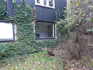 Billede 3. Værelse, Kongevejen, Holte 