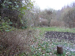 Billede 9. Værelse, Kongevejen, Holte 