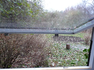 Billede 11. Værelse, Kongevejen, Holte 