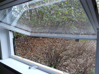 Billede 10. Værelse, Kongevejen, Holte 