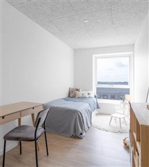 Photo 21. House, Byhøjvænget, Trige 