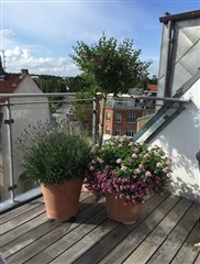 Photo 8. Apartment, Ordrupvej, Charlottenlund 
