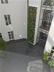 Billede 13. Lejlighed, Asylgade, Odense C 