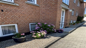 Photo 11. Apartment, Strandvej, Roslev 
