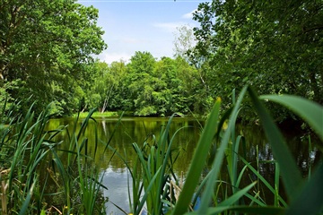 Photo 5. House, Høje Sandbjergvej, Holte 