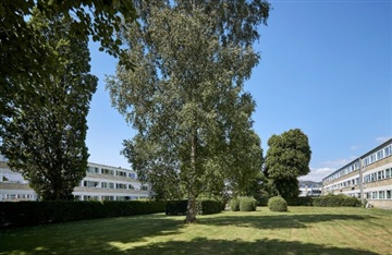 Billede 5. Lejlighed, Ericaparken, Gentofte 