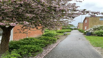 Photo 2. Apartment, Villaparken, Skive 