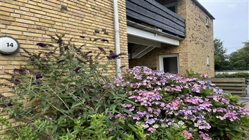 Photo 5. Apartment, Villaparken, Skive 