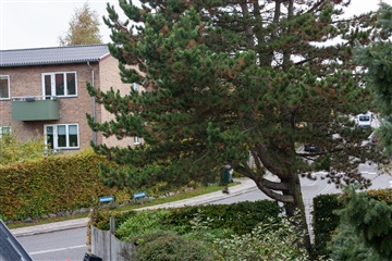 Photo 31. House, Runebergs Alle, Søborg 