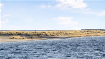 Billede 20. Lejlighed, Strandlodsvej, København S 