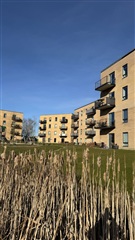 Photo 22. Apartment, Mosegårdsvej, Fredericia 