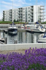 Billede 1. Lejlighed, Tuborg Sundpark, Hellerup 