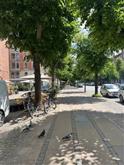 Photo 14. Apartment, Frederiksberg Alle, Frederiksberg 