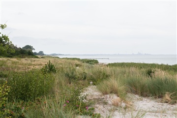 Photo 36. House, Strandskoven, Greve 