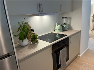 Photo 1. House, Haralds Have, Fanø 