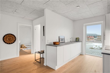 Billede 8. Hus/villa, Engen, Billund 