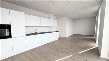 Photo 12. House, Engen, Billund 