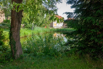 Photo 39. House, På Højden, Hellerup 