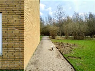 Photo 13. Room, Glanshatten, Odense SØ 