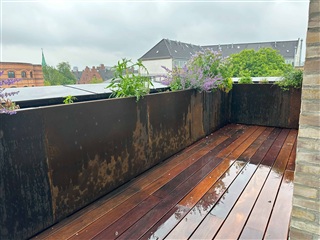 Photo 9. Apartment, Lindevangs Alle, Frederiksberg 