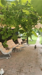 Photo 13. Room, Korsevænget, Ringsted 