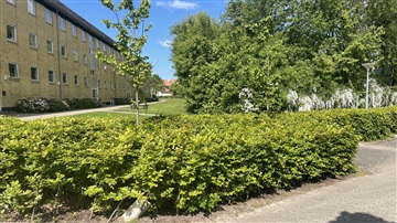Photo 13. Apartment, Falkevej, Viborg 