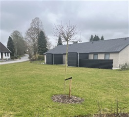 Photo 29. House, Fruerhøjvænget, Brenderup Fyn 