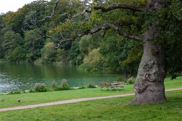 Photo 25. House, Sølystvej, Jyderup 