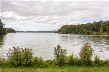 Photo 28. House, Sølystvej, Jyderup 