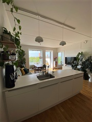 Photo 1. Apartment, Møllevangs Allé, Aarhus N 