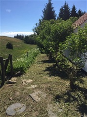 Photo 16. House, Kystvej, Storvorde 