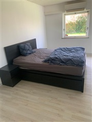 Photo 17. Room, Mågevej, Rødby 
